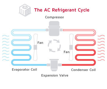 Diagram of the AC refrigerant cycle