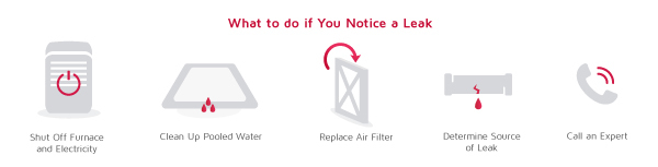 What to do if your furnace is leaking water.